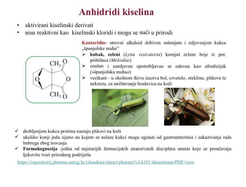 <p>Kantaridin - otrovni alkaloid dobiven susenjem i mljevenjem kukca - babak, zeleni</p>