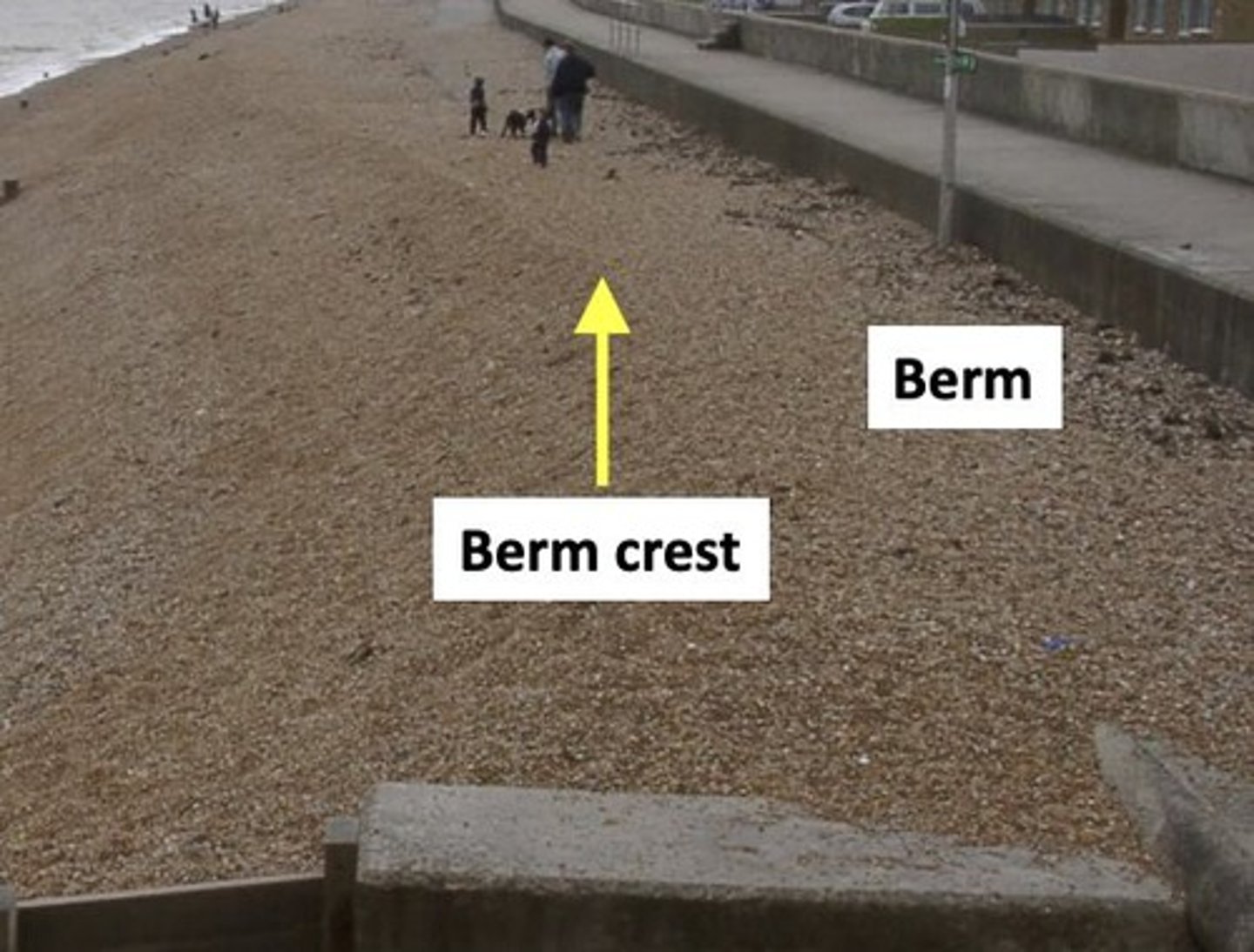 <p>A beach berm is a near-horizontal plateau on the beach face formed by the deposition of material by waves.</p>