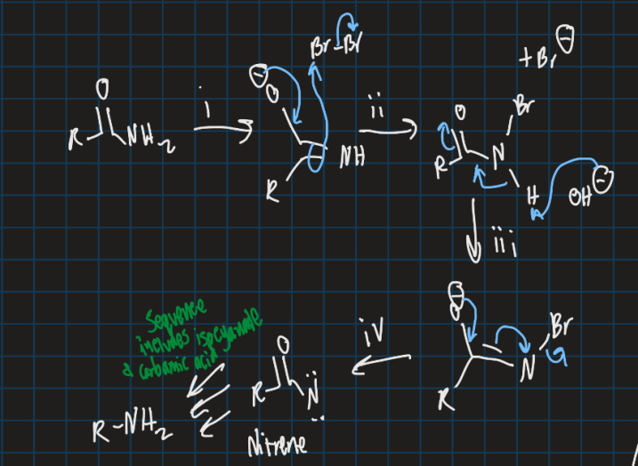 <ul><li><p>1 nitrene formed</p></li></ul><p></p>