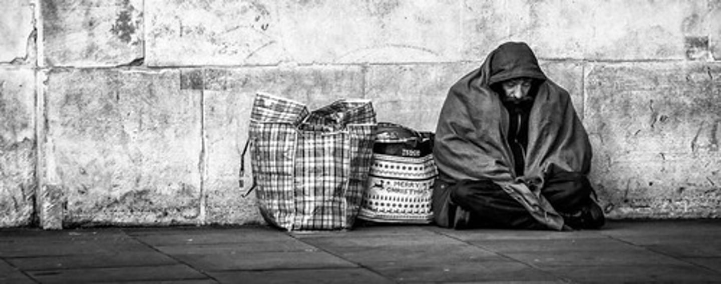 <p>homelessness</p>