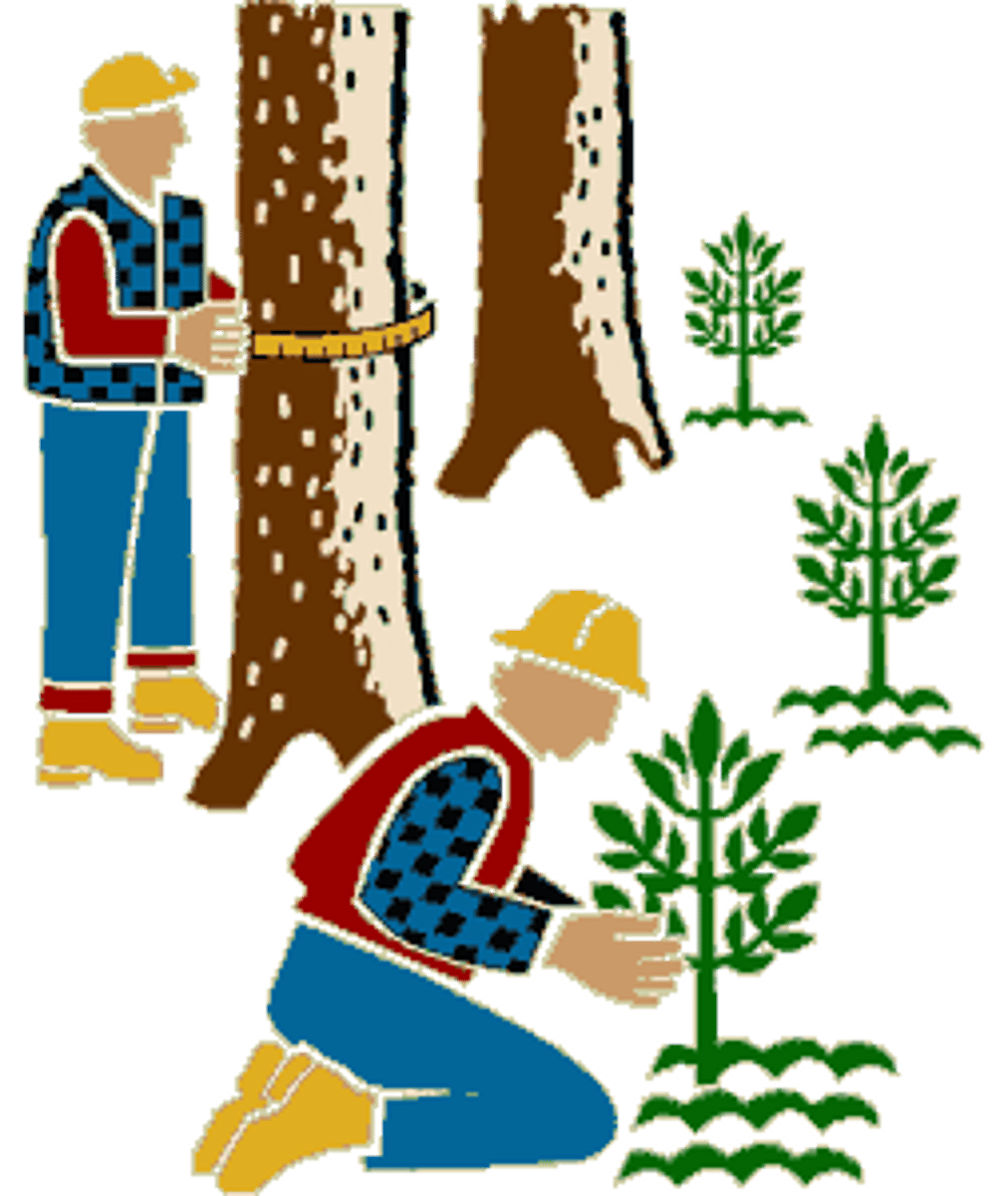<p>the art, science, and practice of studying and managing forests and plantations</p>