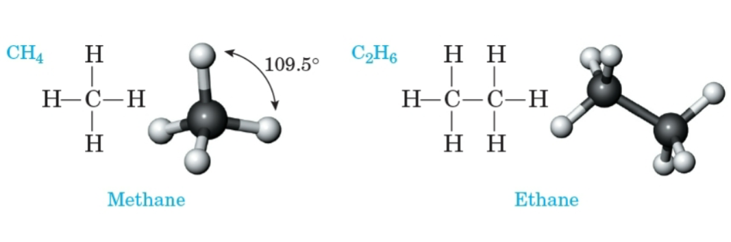 <p>A hydrocarbon that contains only carbon-carbon single bonds.</p>