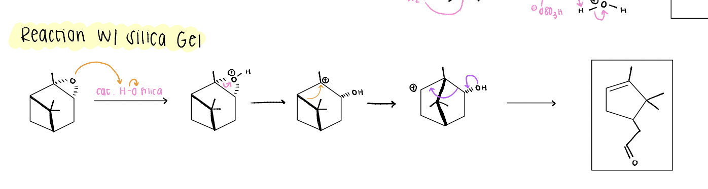 <p>2 alkyl shifts</p>