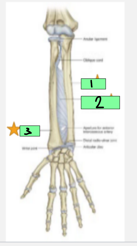<p>1</p>
