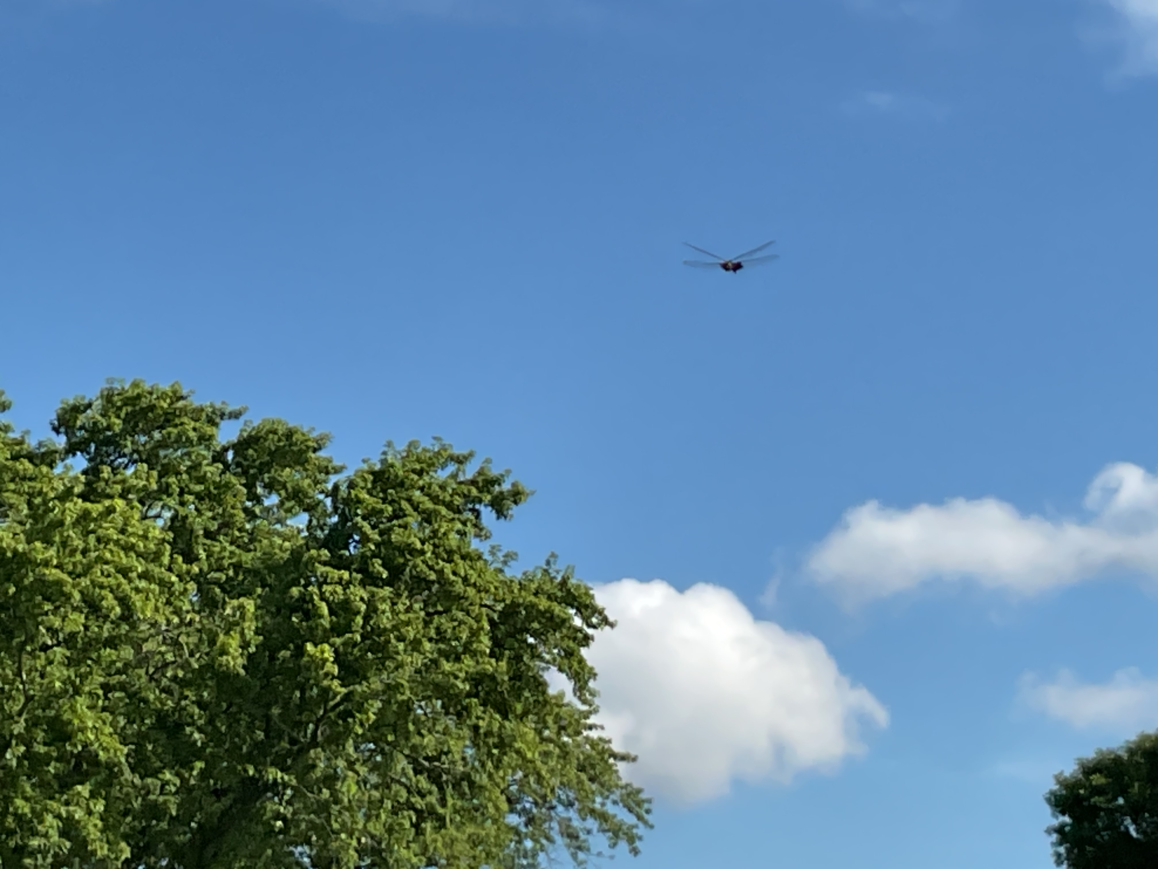 <p>Total number of people divided by the total land area </p>