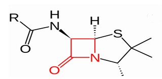 <p>defined by the presence of a beta lactam ring</p><p>four main types: penicillins, cephalosporins, carbapenems, monobactams</p>