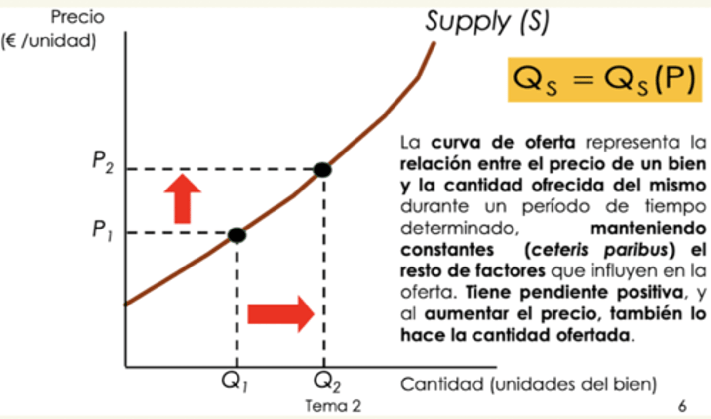 <p>el precio de un bien y la cantidad ofrecida del mismo durante un periodo de tiempo.</p><p>(manteniendo constantes el resto de factores que influyen en la oferta)</p>