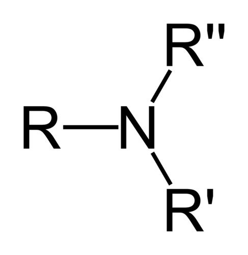 biggest chain has the prefix amino and goes at the end, (nitrogen is a branch off the biggest chain), and put N- the second biggest chain beforehand (N-smallaminobig)