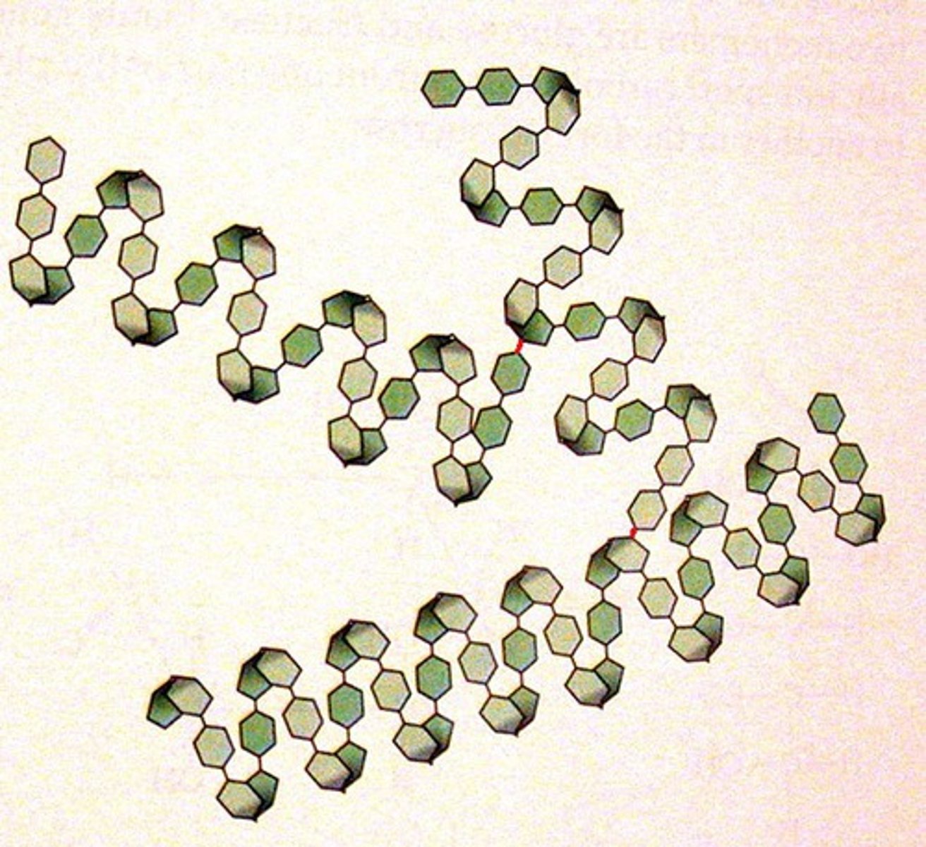 <p>A polysaccharide (branched chain of glucoses) found in the liver and muscle of animals; storage of glucose</p>
