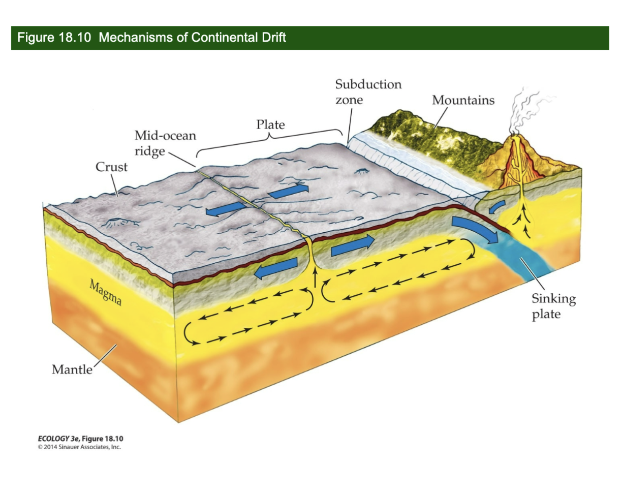 <p>Subduction Zone</p>