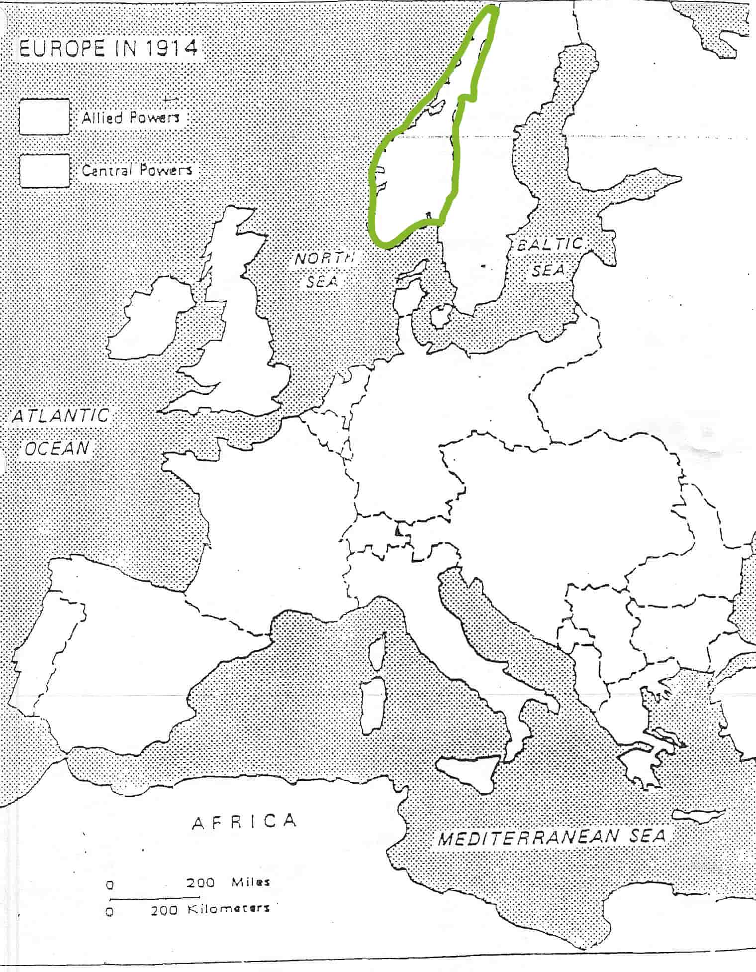 term image
