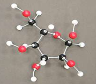 <p>name this molecule</p>