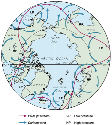 <ul><li><p>The polar jet stream results from a series of high and low pressure areas surrounding the Arctic Ocean. If you follow the red line of the wind directions in the Polar Jet Stream you will see that they coincide with the wind directions in the high and low pressure areas</p></li><li><p>The location shown is the average location, but the Polar Jet Steam can be displaced north or south, and the meanders can also change shape. If the Polar Jet Stream over the continental US is displaced south, the temperature in the north will be dramatically lower. The amount of energy carried by the Polar Jet Stream is immense - it has been estimated that 1% would cover all of Earth’s present energy needs</p></li></ul>