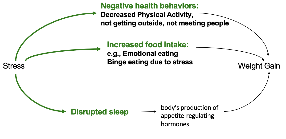 <p><span>Stress can lead to increase in food intake leading to weight gain</span></p>