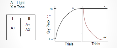 <p>-when x is paired with A, no reinforcement is given. Subsequently, subjects inhibit their response to A, when X is present</p><p><span>You often put your shoes on right before taking your dog for a walk. Now, when the dog sees you put your shoes on, she gets very excited and runs to the door. However, when you put your shoes on and grab your car keys, you are leaving for work (not taking the dog for a walk). When your dog sees you put shoes on and grab car keys, she goes to lay down on her bed.</span></p>