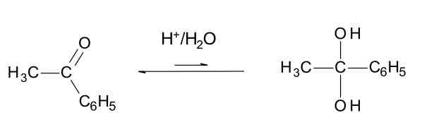 <p><span style="color: black">&nbsp;</span><span> </span><span style="color: black">In the presence of water and an acid catalyst, acetophenone will reversibly to form a hydrate. Outline, using “curly arrows”, the mechanism of this reaction:</span></p><p style="text-align: justify"><span style="color: black">&nbsp;</span></p><p style="text-align: justify"><span style="color: black">&nbsp;&nbsp;&nbsp;&nbsp;&nbsp;&nbsp;&nbsp;&nbsp;&nbsp;&nbsp;</span></p><p style="text-align: justify"><span style="color: black">As part of your answer, you should explain the role of the acid catalyst and why &nbsp;it is necessary in this reaction.</span></p><p style="text-align: justify"><strong><span style="color: black">&nbsp;</span></strong></p><p style="text-align: start"><strong><span>&nbsp;</span></strong></p>