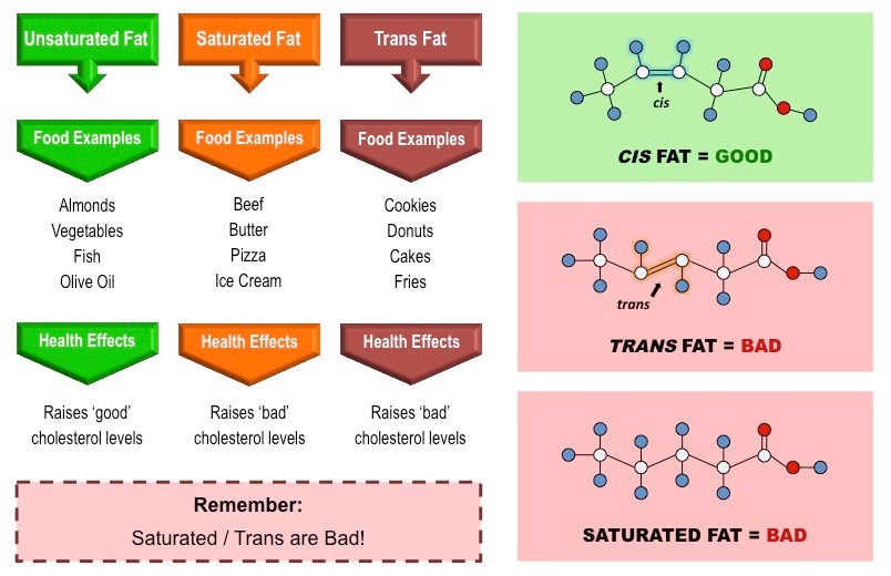 <p>An unsaturated fat, formed artificially during hydrogenation of oils, containing one or more trans double bonds. </p>