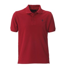 <p>a polo shirt</p>