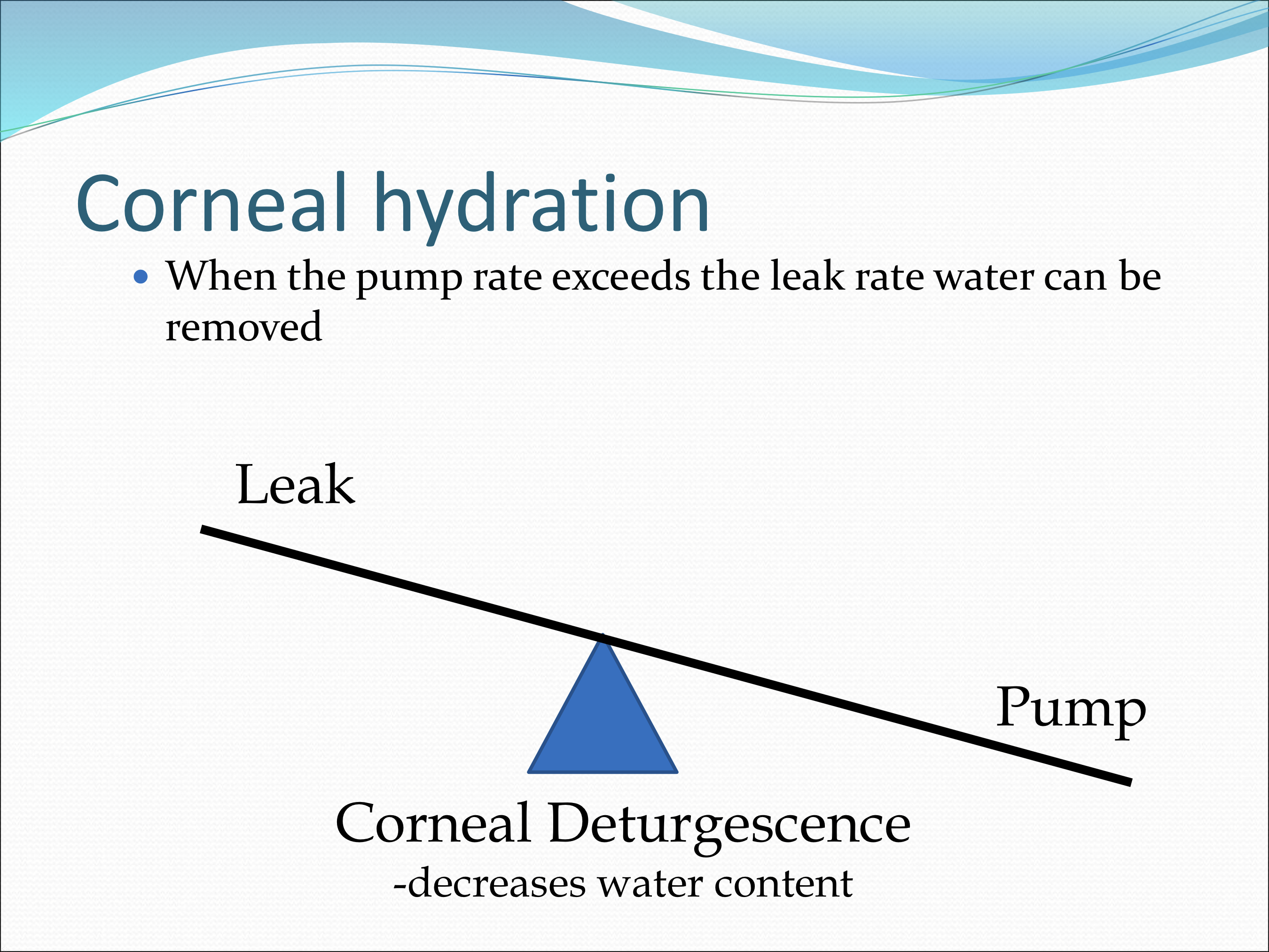 <p>Corneal Deturgescence (decreases water content) </p>