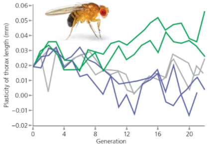 <p>Yes, when there is genetic variation of the slopes of the reaction norms</p>