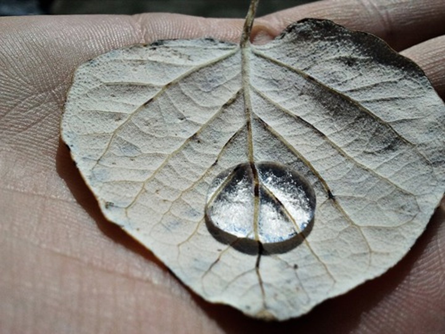 <p>a surface or substance that doesnt allow water to pass through it</p>