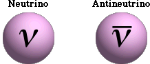 <p>Subatomic particle similar to an electron except no charge</p>
