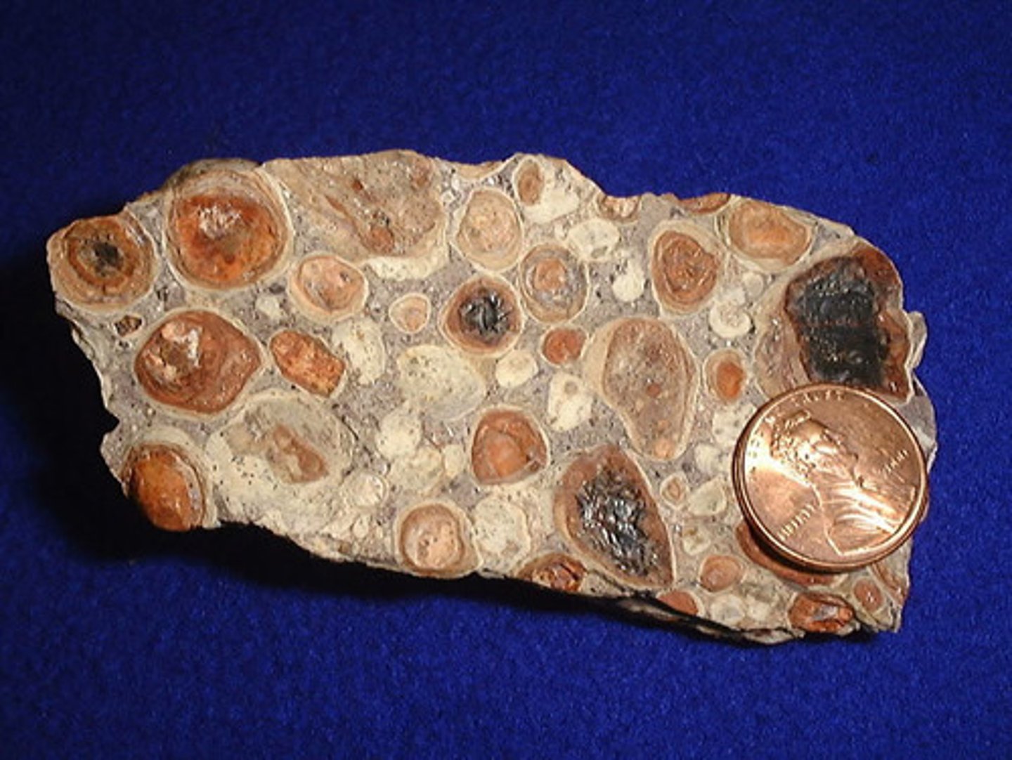 <p>Mixed crystallography.<br>Pisolitic, massive, earthy, claylike. <br>Gibbsite + diaspore + boehmite.<br>H = 1-3<br>SG = 2-2.55<br>Translucent. <br>Dull to earthy luster.<br>Color = white, yellow, gray, red.<br>Supergene origin.</p>