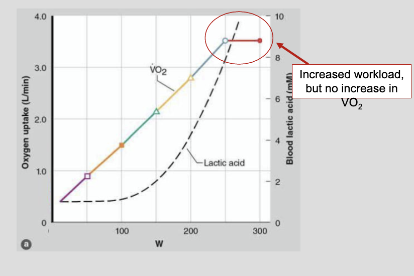 * As maximal effort approaches, VO2 may “plateau” (fail to increase) despite continued increases in work rate
* The extra energy needed to perform the higher work rate is provided by anaerobic metabolism