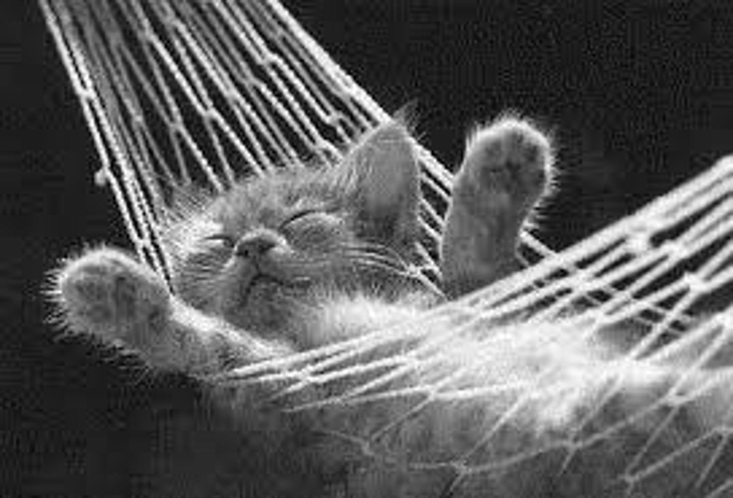 <p>sleeping</p>
