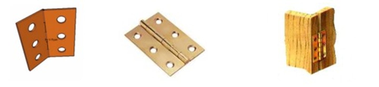 <p>The most common type of hinge where one leaf attaches to the door's edge, the other to its jamb</p>