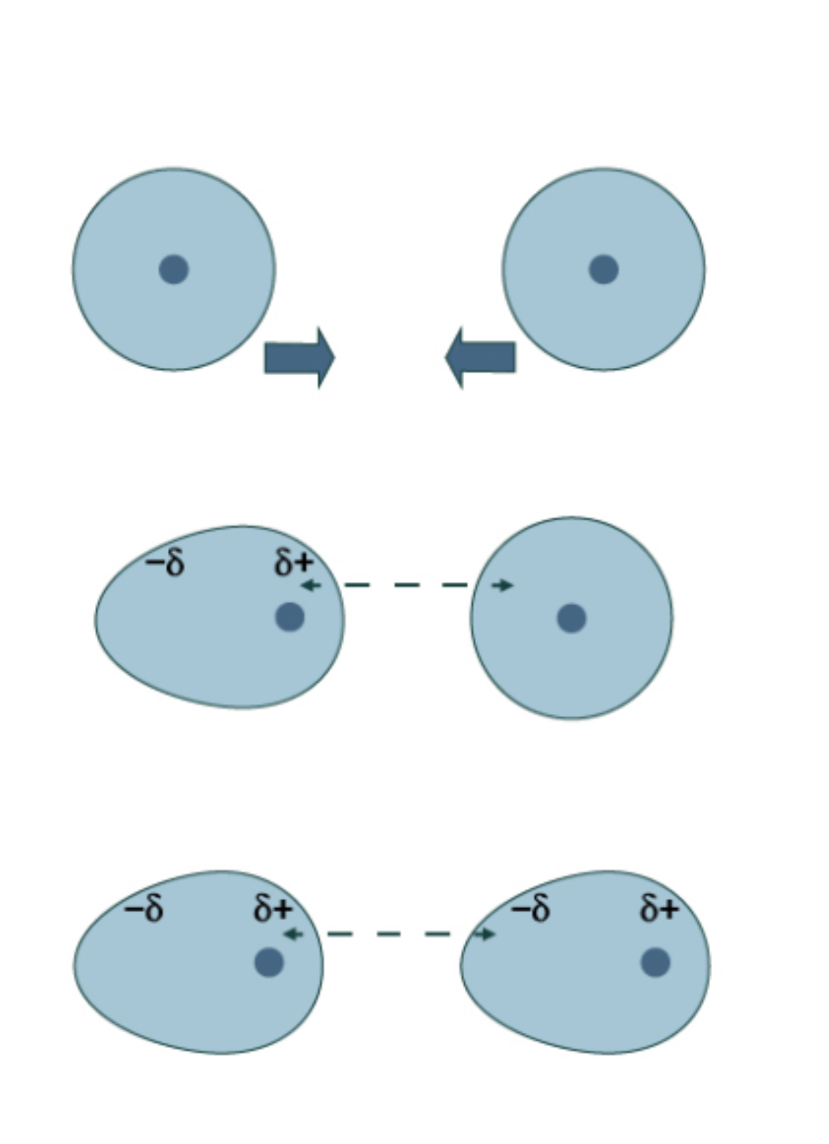 <ul><li><p>Weakest force but <strong>Always present</strong></p></li><li><p>Between 2 <strong>non-polar</strong> molecules</p></li><li><p>Creates temporary dipole</p><ul><li><p>When <strong>e- in moc 1</strong> shift to one side → <strong>temporary dipole</strong> forms</p><ul><li><p class="">Can <strong>induce a dipole</strong> in a nearby molecule</p></li></ul></li><li><p>They form a temporary dip-dip before floating away</p></li></ul></li><li><p>Attraction increases w/ atomic number</p><ul><li><p>Dipole increases when more e- is added</p></li></ul></li><li><p>Attraction increases w/ larger molecules</p><ul><li><p>More spaces to attract</p></li></ul></li><li><p>If only LDF present → low BP + MP</p></li></ul><p></p>
