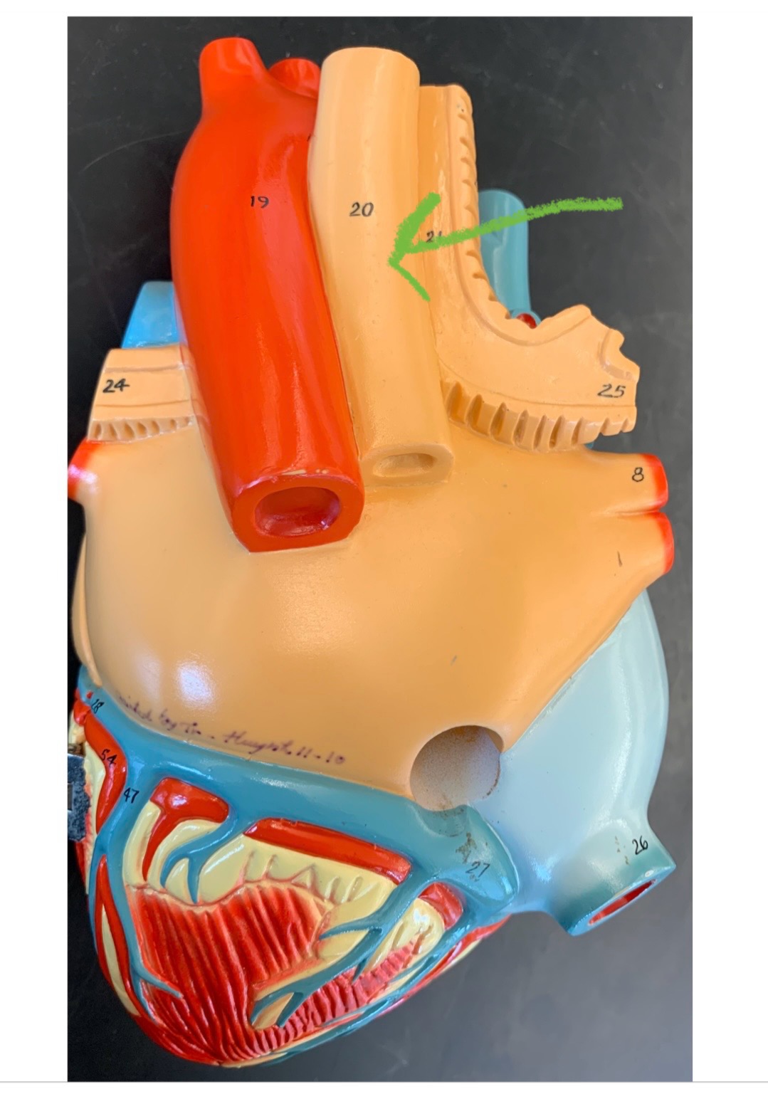 knowt flashcard image