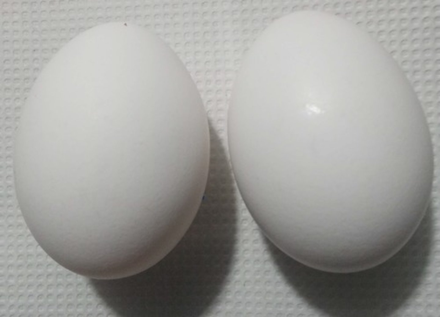 <p>COMO SÃO OS OVOS? ELES SÃO BRANCOS.</p>