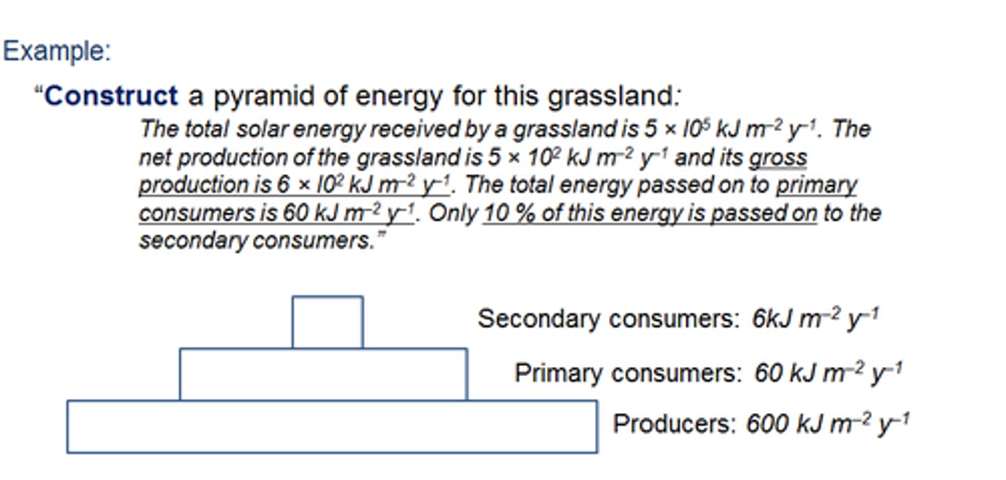 <p>Represent or develop in a graphical form</p>