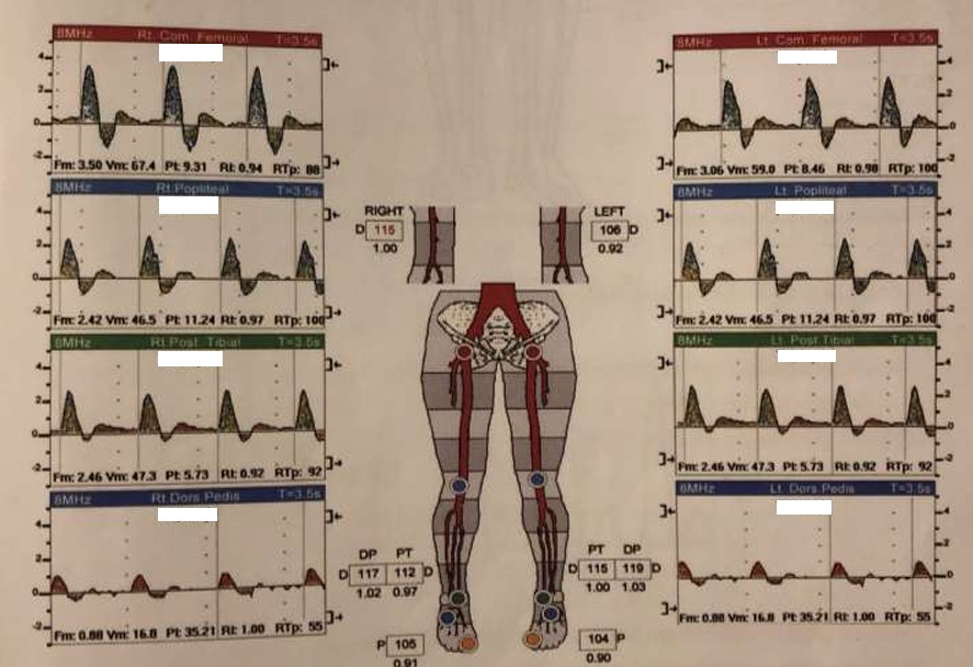 <p>What kind of waveforms are seen in this image?</p>