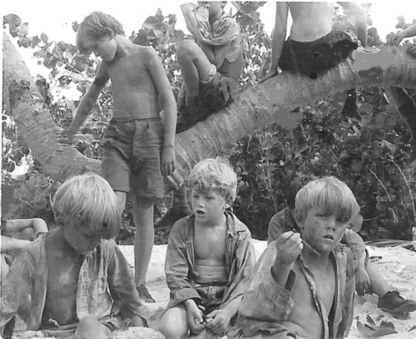 <p>The younger boys in the group</p>