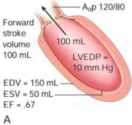 <p>what is this?</p>