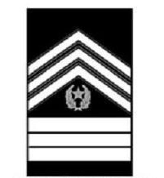 <p>3 Chevrons 3 Bars a Star and a Wreath</p>