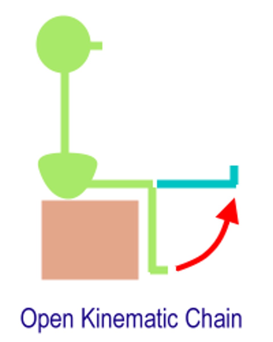 <p>when one end of a segment or set of segments is free to move in space</p><p>- examples of exercises: leg extension, leg curl, hip extension, biceps curl, and bench press</p>