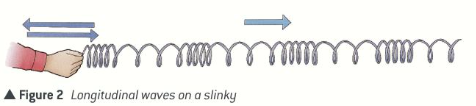 <p>What are the non-particle-dense areas of longitudinal waves called?</p>