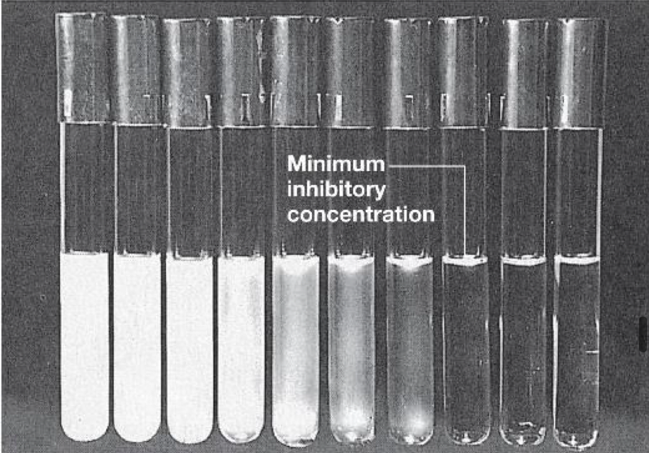 <p>What is minimum inhibitory concentration (MIC)?</p>