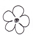<p>Shape of flower?</p>