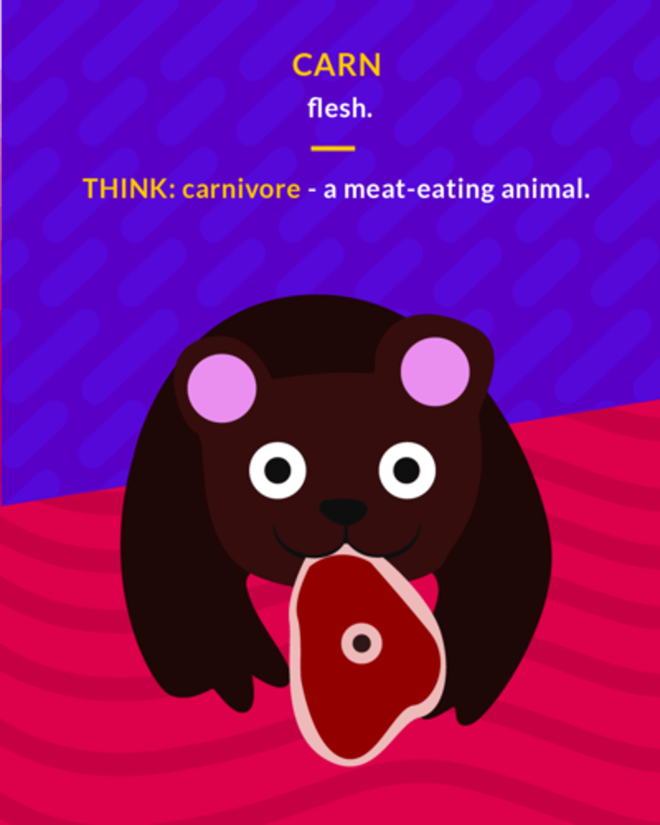 <p>flesh</p>