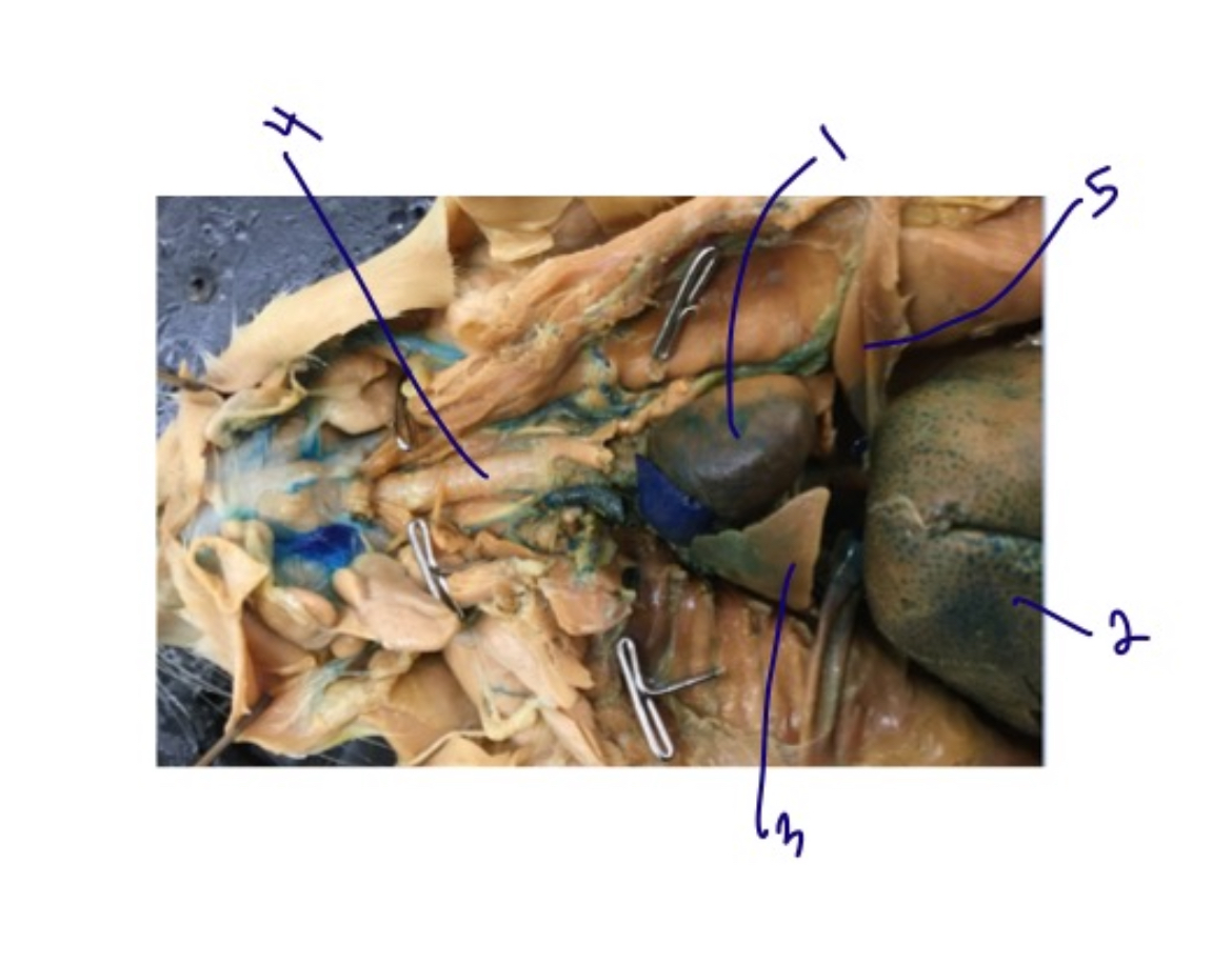 <p>1</p>