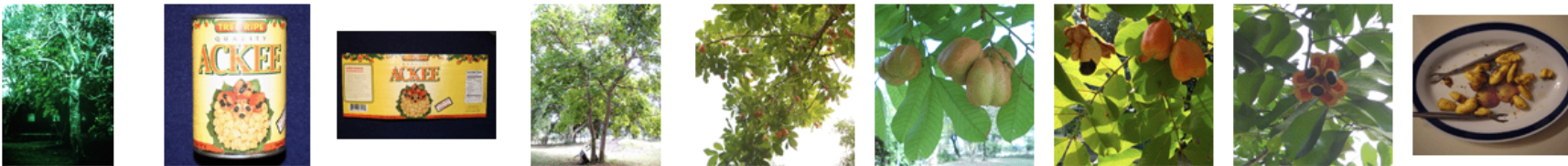 <p>Hypoglycemia, vomiting</p>