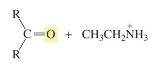 <p>Aldehyde/ketone + protonated amine</p>