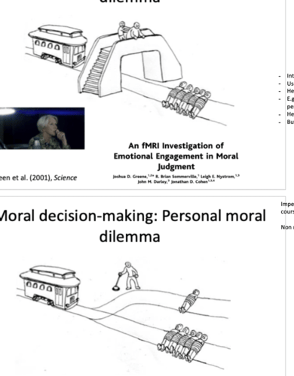 <p>Green et al. (2001)</p><p>- fMRI during personal more dilemma (pushing someone on tracks to save 5 people) and impersonal (doing an action that kills 1 person instead of 5)</p><p>- only 15% willing to push someone on task so others survive</p><p>- percentage increased to 45% when ppts had ventromedial lesions</p><p>- both situations elicited regions associated with cognitive memory but the personal condition also elicited regions associated with emotion processing</p>