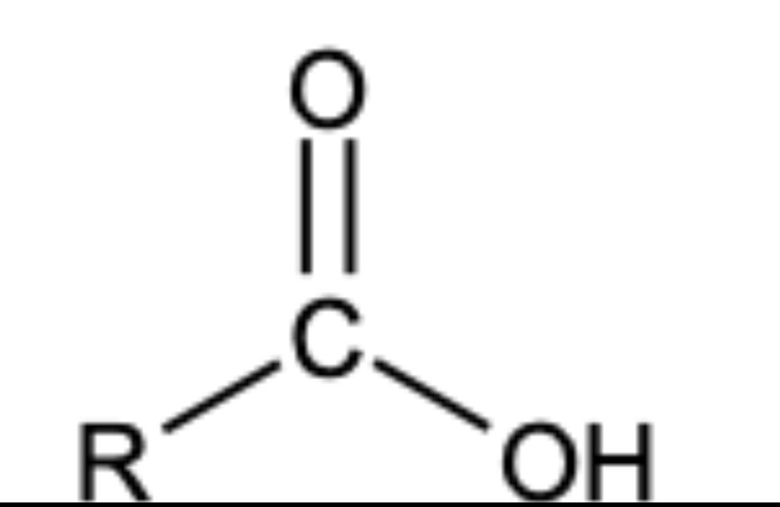 <p>Naming </p>