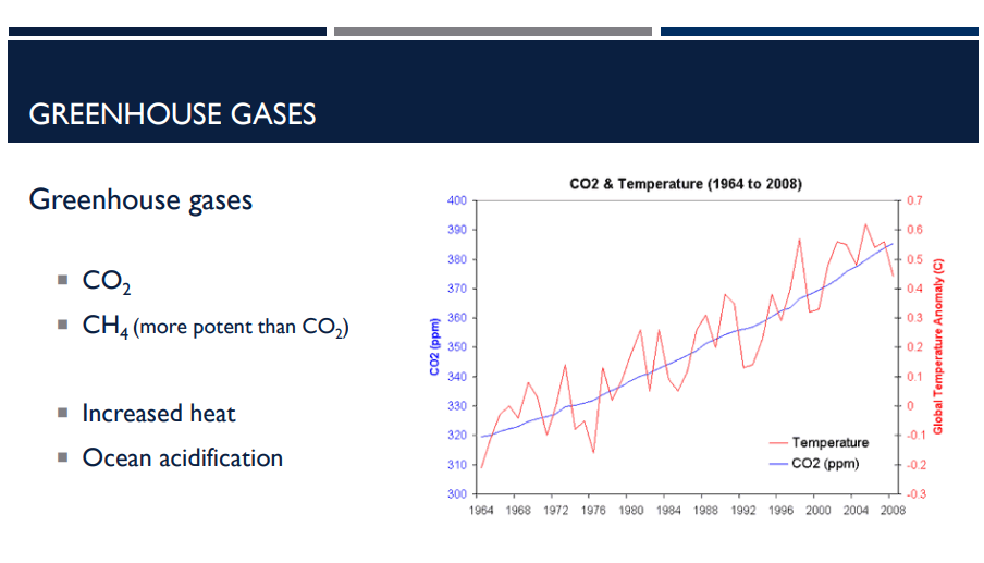 <p>Which greenhouse gas is more potent than the other, CO2 or CH4? What does it mean to be more potent?</p>