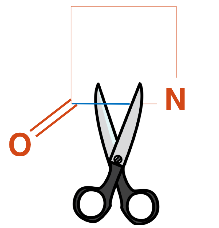 <ul><li><p>Beta-lactam abx </p></li><li><p>Bactercidial  </p></li></ul><p></p>